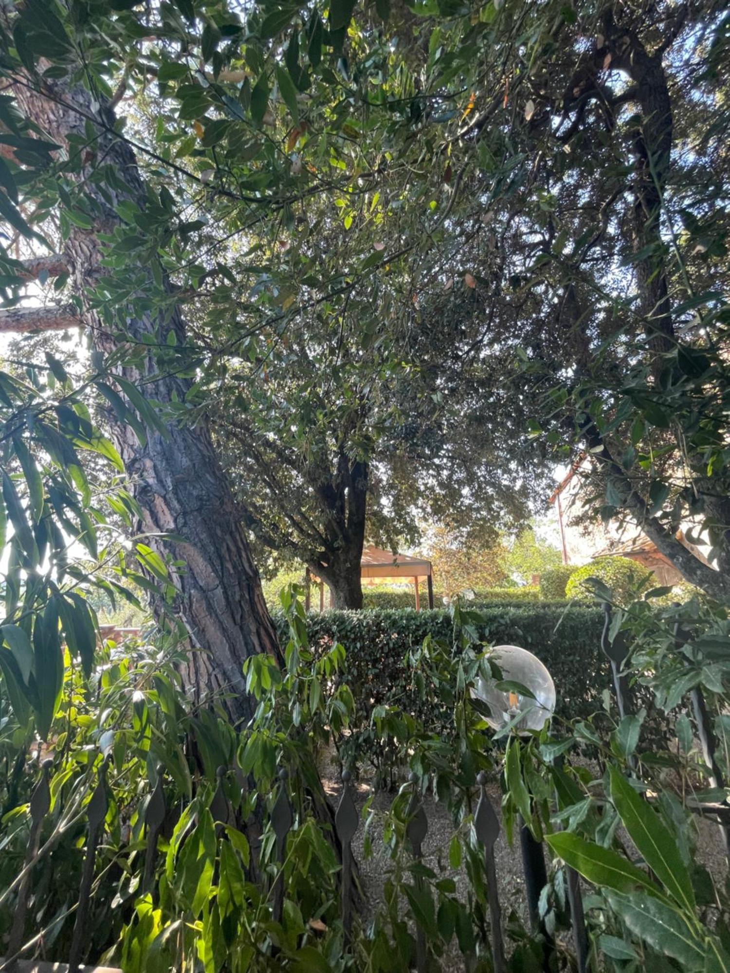 Intero Appartamento Con Private Pool E Jacuzzi Podere Settefrati Montaione Exterior foto